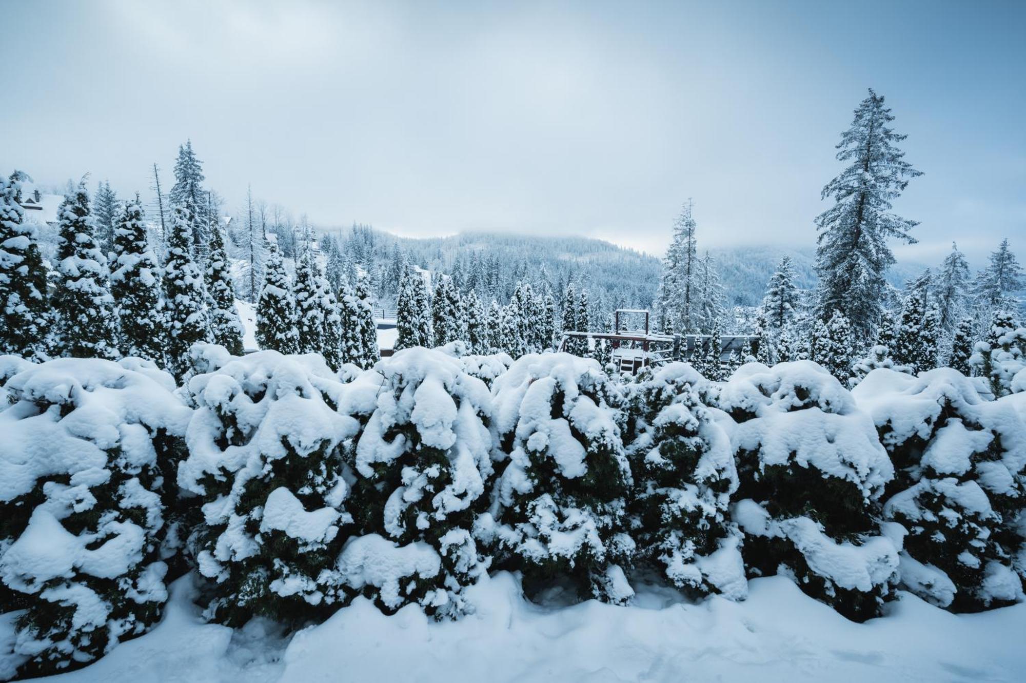 Visitzakopane - Janosik Apartment エクステリア 写真