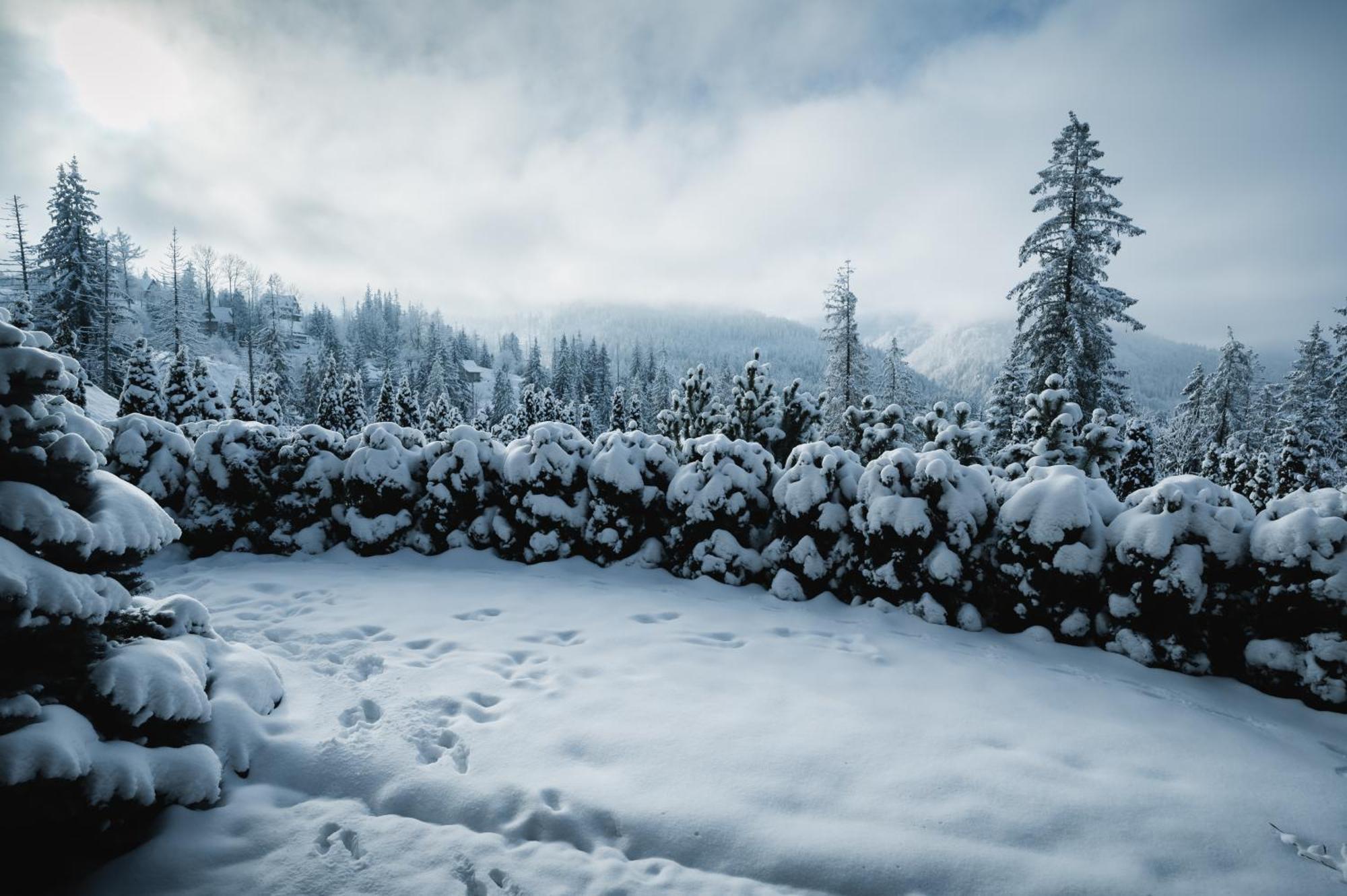 Visitzakopane - Janosik Apartment エクステリア 写真