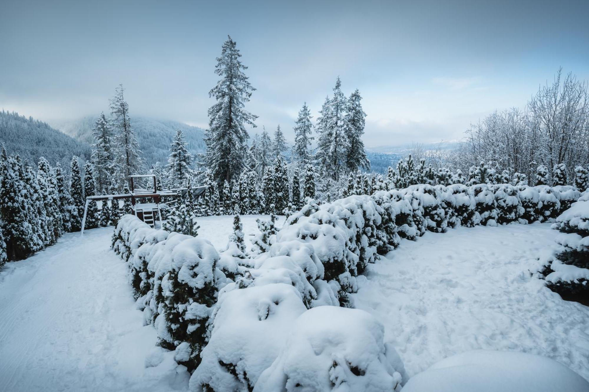 Visitzakopane - Janosik Apartment エクステリア 写真