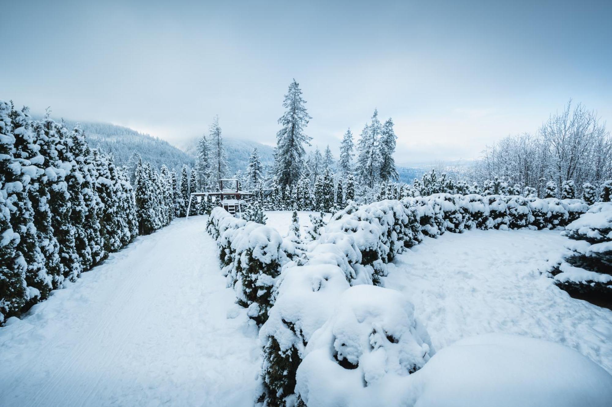 Visitzakopane - Janosik Apartment エクステリア 写真